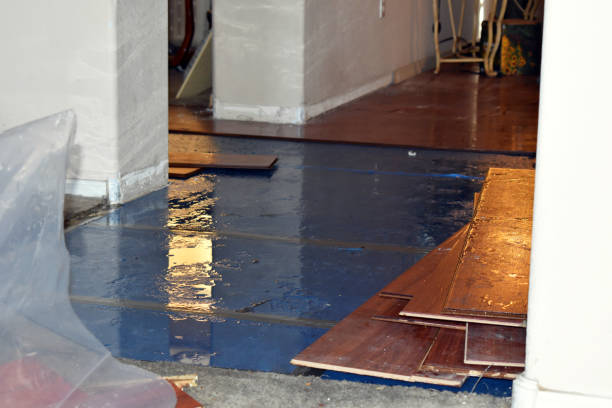 Professional Water Damage Restoration technician working in Kipling, OH
